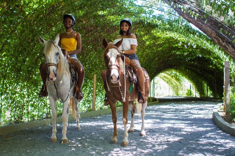 Turquoise Bay Horseback Riding & Snorkel with Lunch