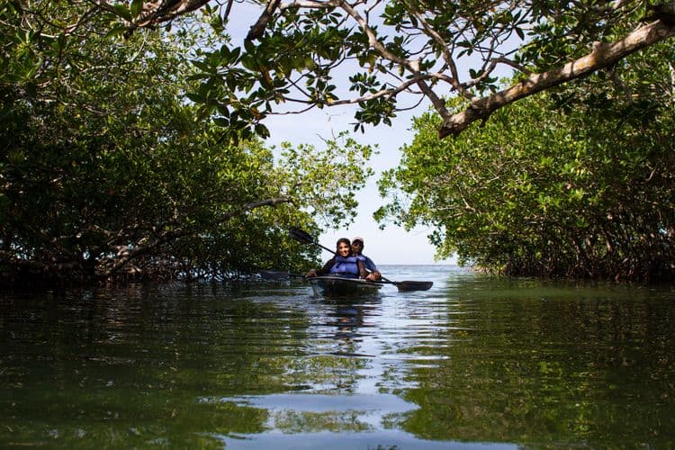 Turquoise Bay All Inclusive Clear Kayak, Mangroves, & Beach